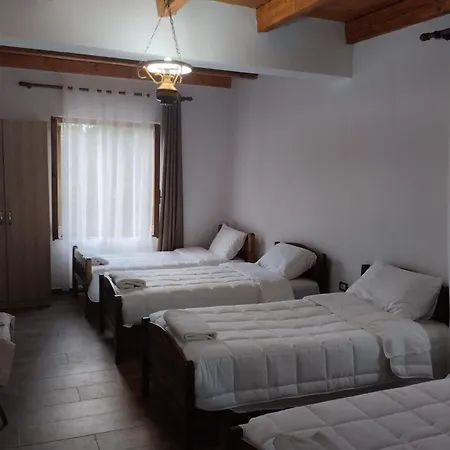 Vellezrit Shkambi 3* Gjelaj