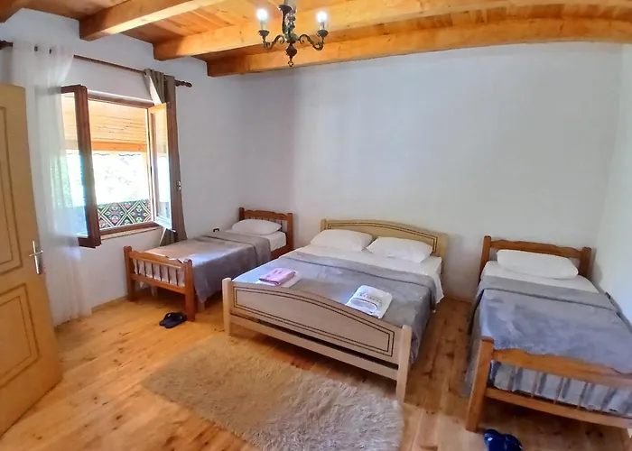 Vellezrit Shkambi 3* Gjelaj